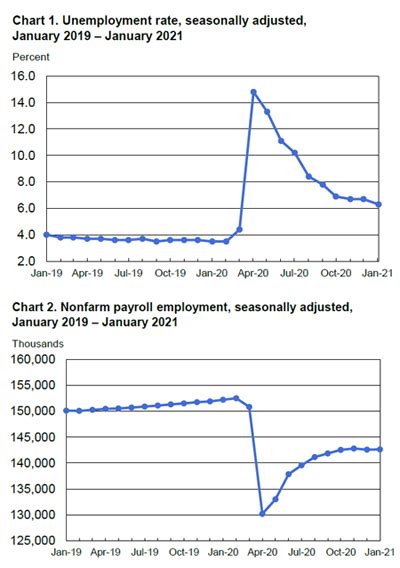 Employment Situation in January 2021 .